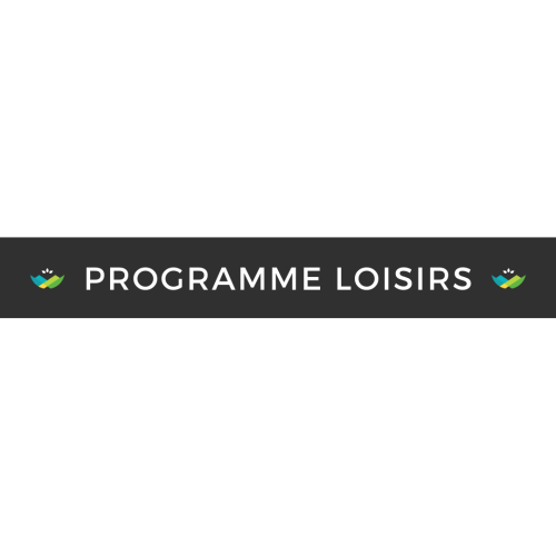 Programmation de loisirs